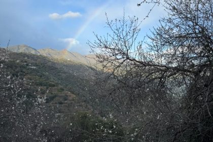 85e3f7882fbb7275a98a0d8f2ba52d4c - 11