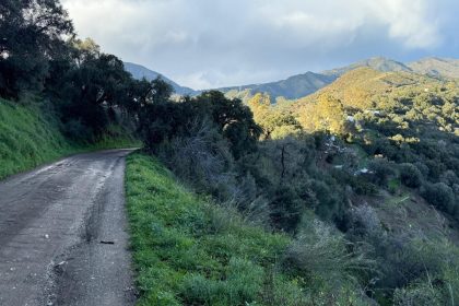 85e3f7882fbb7275a98a0d8f2ba52d4c - 12