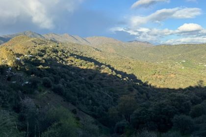 85e3f7882fbb7275a98a0d8f2ba52d4c - 14