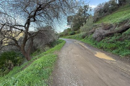 85e3f7882fbb7275a98a0d8f2ba52d4c - 16