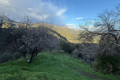 85e3f7882fbb7275a98a0d8f2ba52d4c - 17