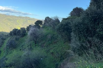 85e3f7882fbb7275a98a0d8f2ba52d4c - 19