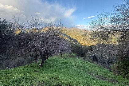 85e3f7882fbb7275a98a0d8f2ba52d4c - 20