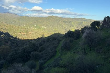 85e3f7882fbb7275a98a0d8f2ba52d4c - 22