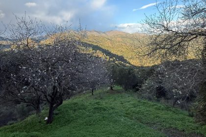 85e3f7882fbb7275a98a0d8f2ba52d4c - 4