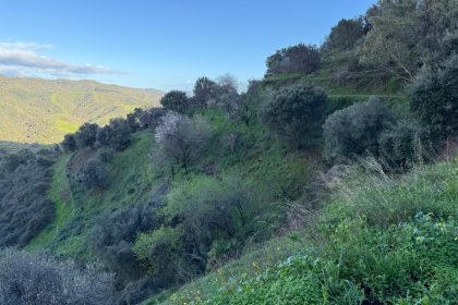 85e3f7882fbb7275a98a0d8f2ba52d4c - 5