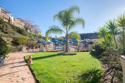 85ea45eb44d1f8f8bc15212773cd19ec - 20