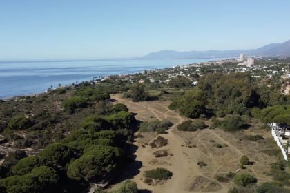 8661a6f25bf6b1b53517a3a6ea83e3a8 - 21