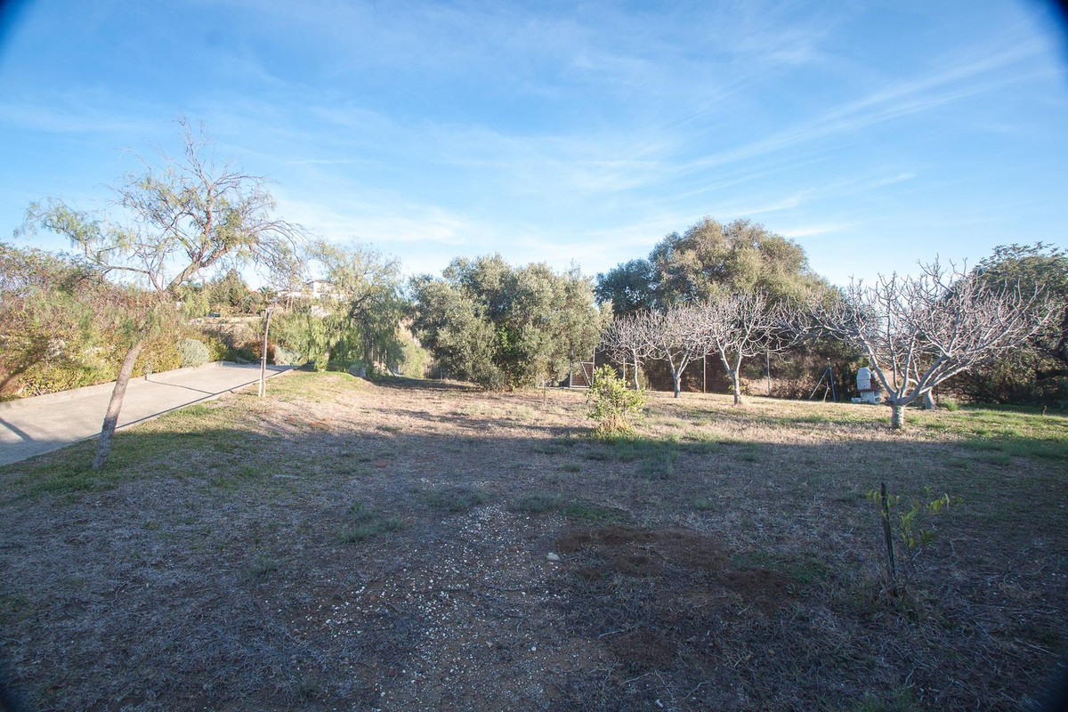 872f3b12901413166618dde9d3cc2cc4 - 5