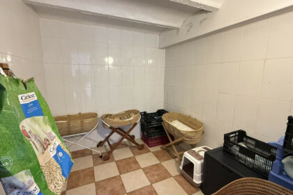 8875f6fb064b2bc3119dc769993a4eea - 11