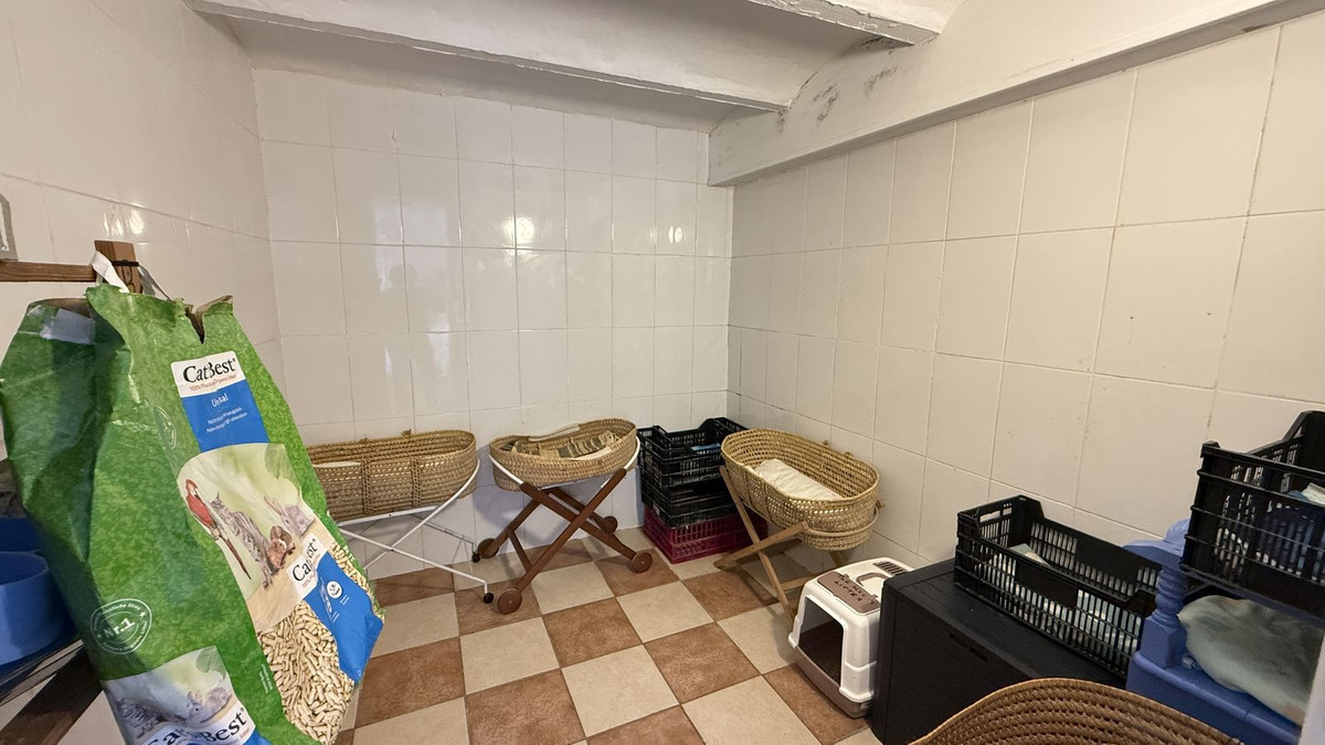 8875f6fb064b2bc3119dc769993a4eea - 11