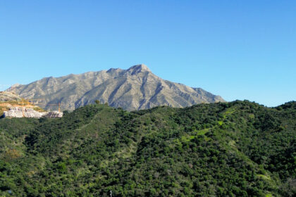 89c57a28eafd7469a0e2737ad9971334 - 25