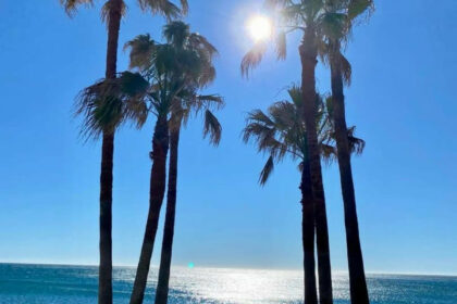 8b8d5f8be6885dfc5e73b1bbc94eae48 - 57