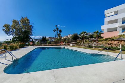 8bf7ad4a69b7a013674bd5bc511fed1f - 18