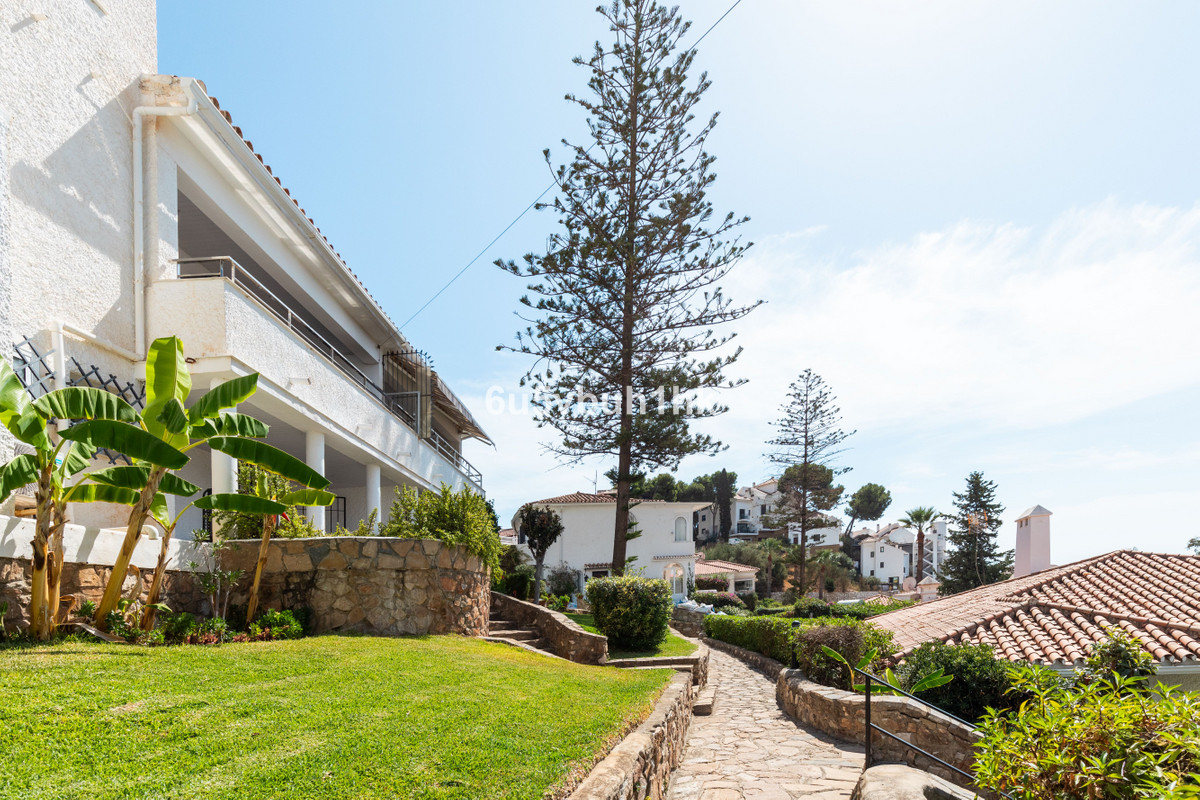 8cdfe2962f0aa548f5fa037421e83475 - 23