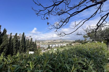 8db4b48a5229f90a6acb879a741843f1 - 29