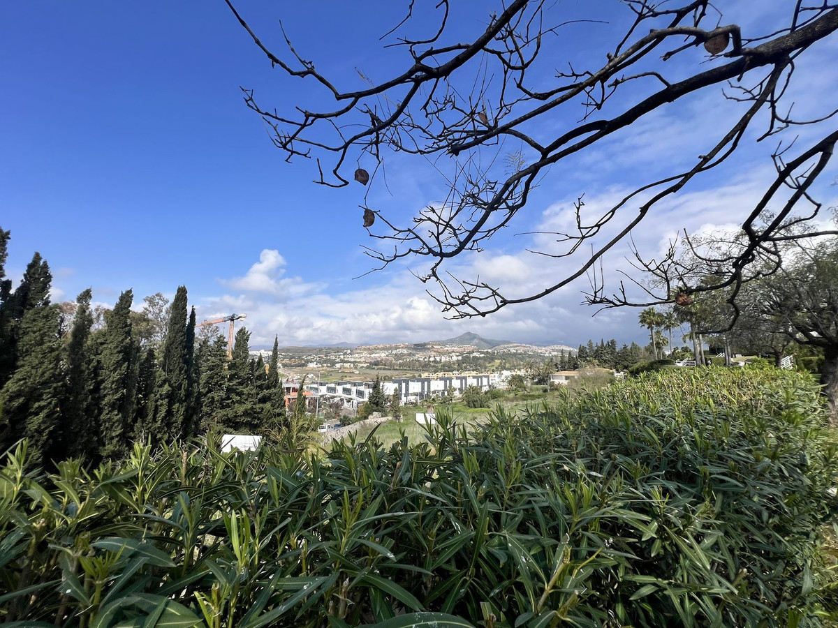 8db4b48a5229f90a6acb879a741843f1 - 29