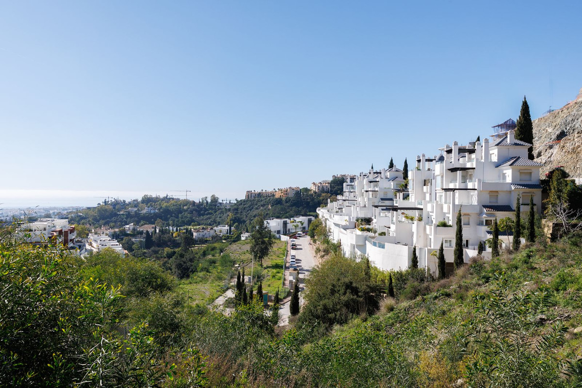 9158b2f2122cfd7c5e9215d75516b741 - 3