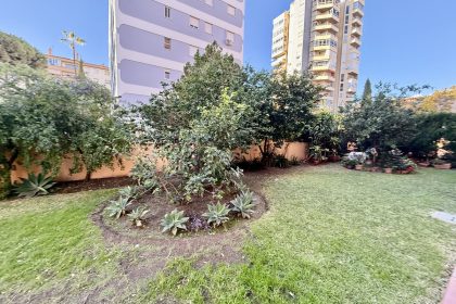 950a22e32160ae786337566347cae14d - 41