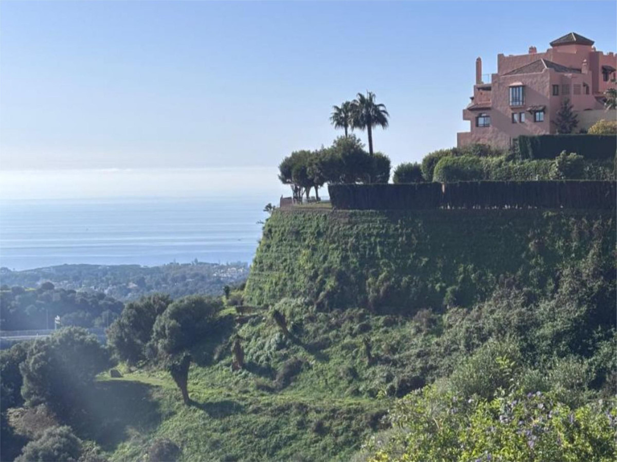 951301fa282f8160f1e8276caf99bb3b - 12