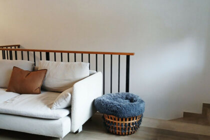 9604dc679477ae6cab60c69cb3dfbdea - 8