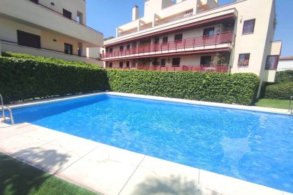 9828bfbe4e57bc71f71320fd17f1b738 - 1