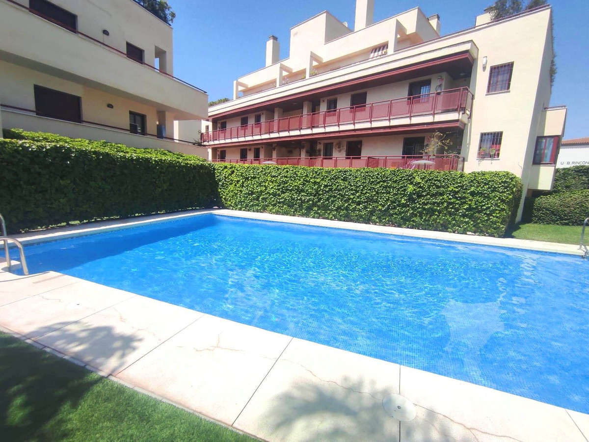 9828bfbe4e57bc71f71320fd17f1b738 - 1