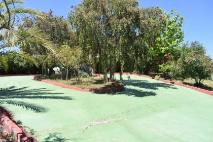 98501721ce816827f7d2470d5636589d - 19