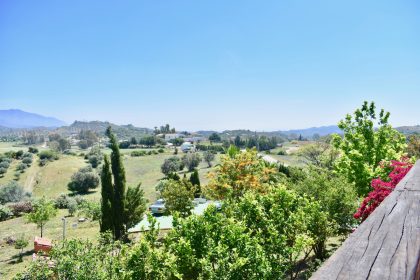 98501721ce816827f7d2470d5636589d - 21