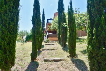 98501721ce816827f7d2470d5636589d - 5