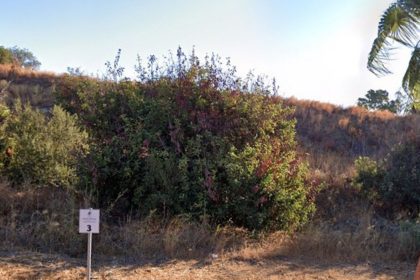 999f8880a9a9baeba8af99fbb7736b95 - 16