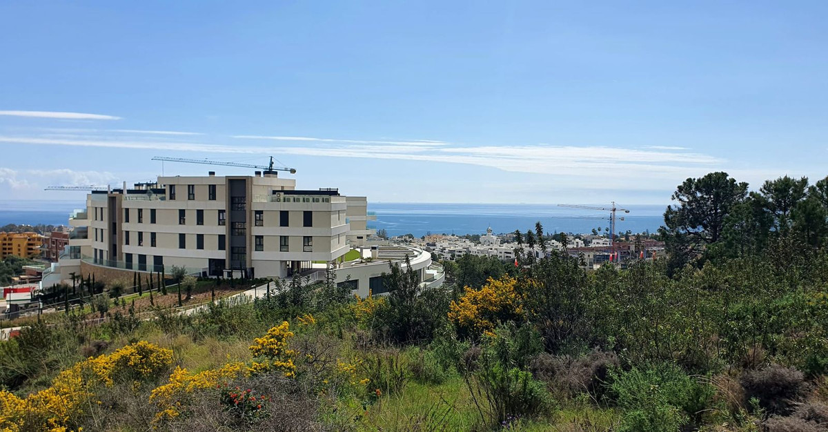 99e0892fbd961d4c2e6418a18bfa5706 - 25