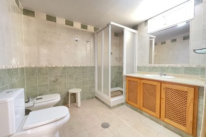 99fc01324461de5ba77a7c416fc2b036 - 17