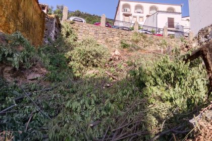 9b0ed05bcc9dd032d77472d6fc424530 - 2