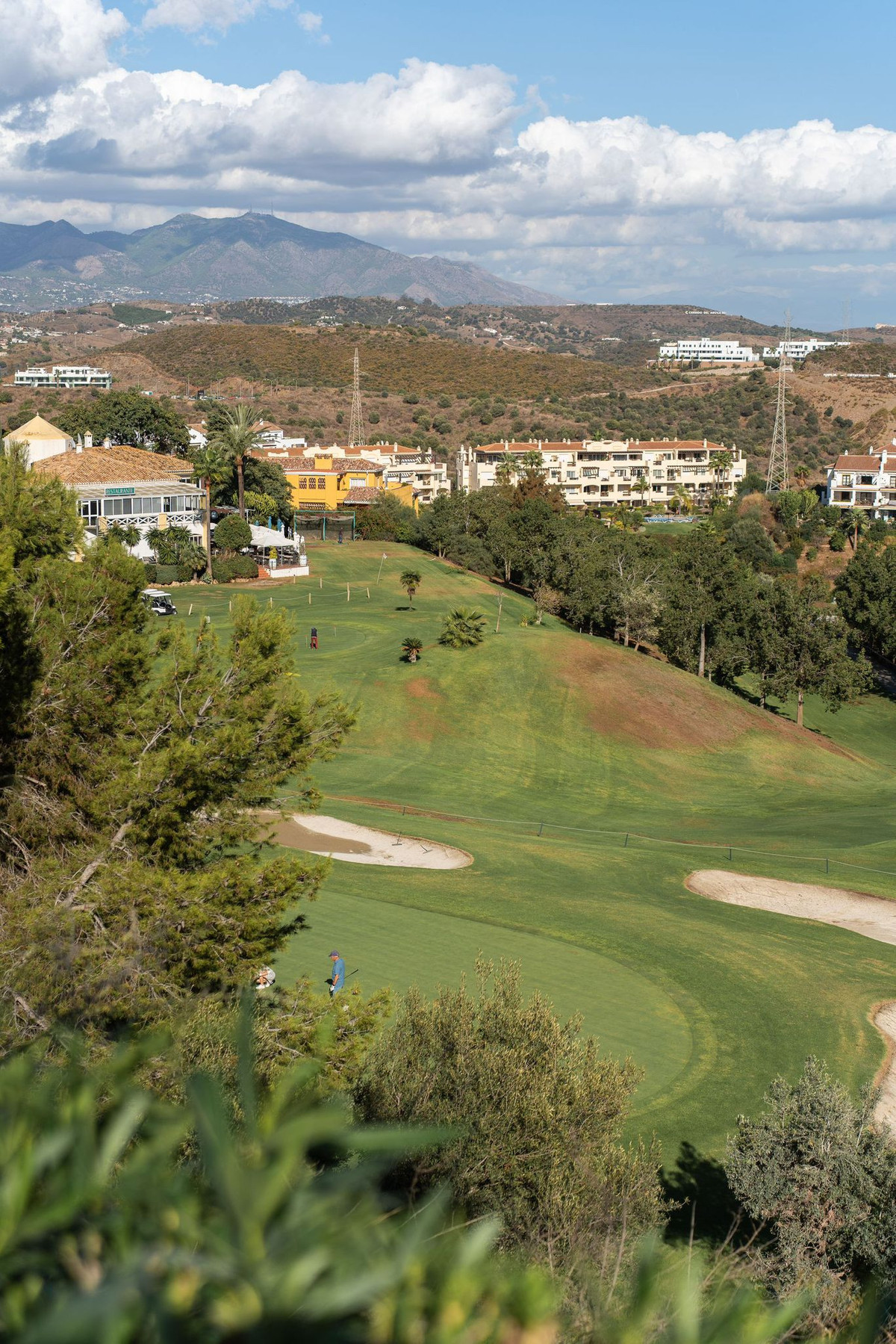 9bdbd2b11f3118ed9ce3e589e3d9604f - 40