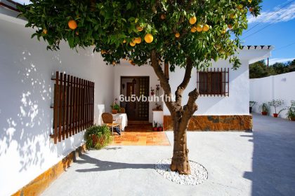 9c1264ce2443433fb1cb4dab2d735a3e - 1