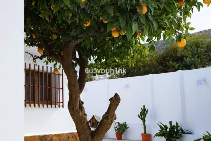 9c1264ce2443433fb1cb4dab2d735a3e - 48