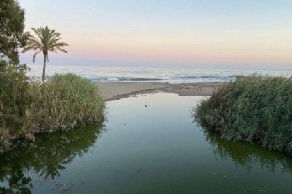 9d67b87529166830aa8c2bce3127c64b - 26