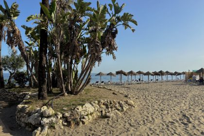 9d7e5e07bff4a378deddb68899083edc - 8