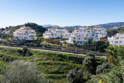 a03398953f94106659ccee61501fef99 - 23