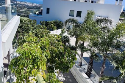 a0afd1285426fc42a53e5fae5358ce43 - 26