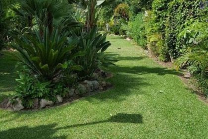 a0f7c7edfa9a25cb5f84d4e302337d2b - 10