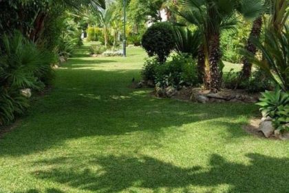 a0f7c7edfa9a25cb5f84d4e302337d2b - 12