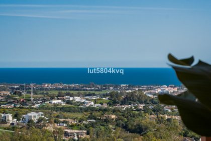 a1cec3fc7e6faffe57ed985736057aab - 10