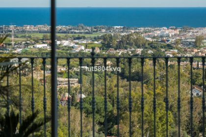 a1cec3fc7e6faffe57ed985736057aab - 12