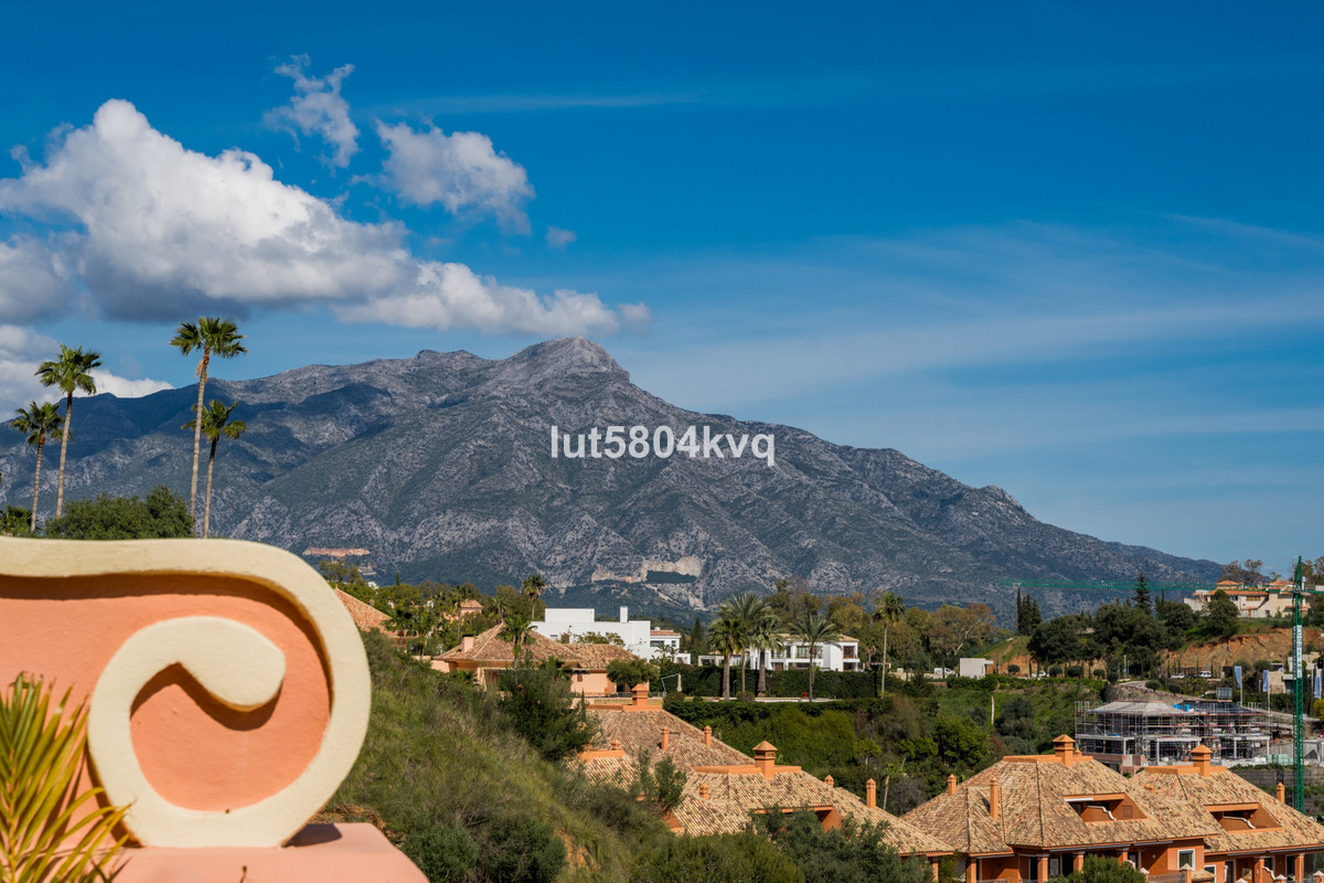 a1cec3fc7e6faffe57ed985736057aab - 24