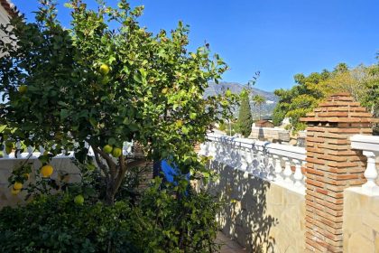 a234ed901b8d33144205630a072b7c56 - 14