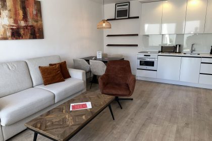 a251b197c11f7dc5b6d9c78f3e79840a - 1