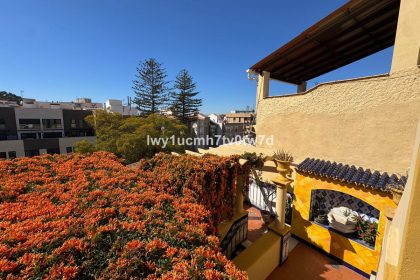 a280f2d48d8477a59a8d6cb0310255af - 15