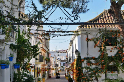 a2b64d1cb4fd42c38cb081fe1a3b4bac - 3